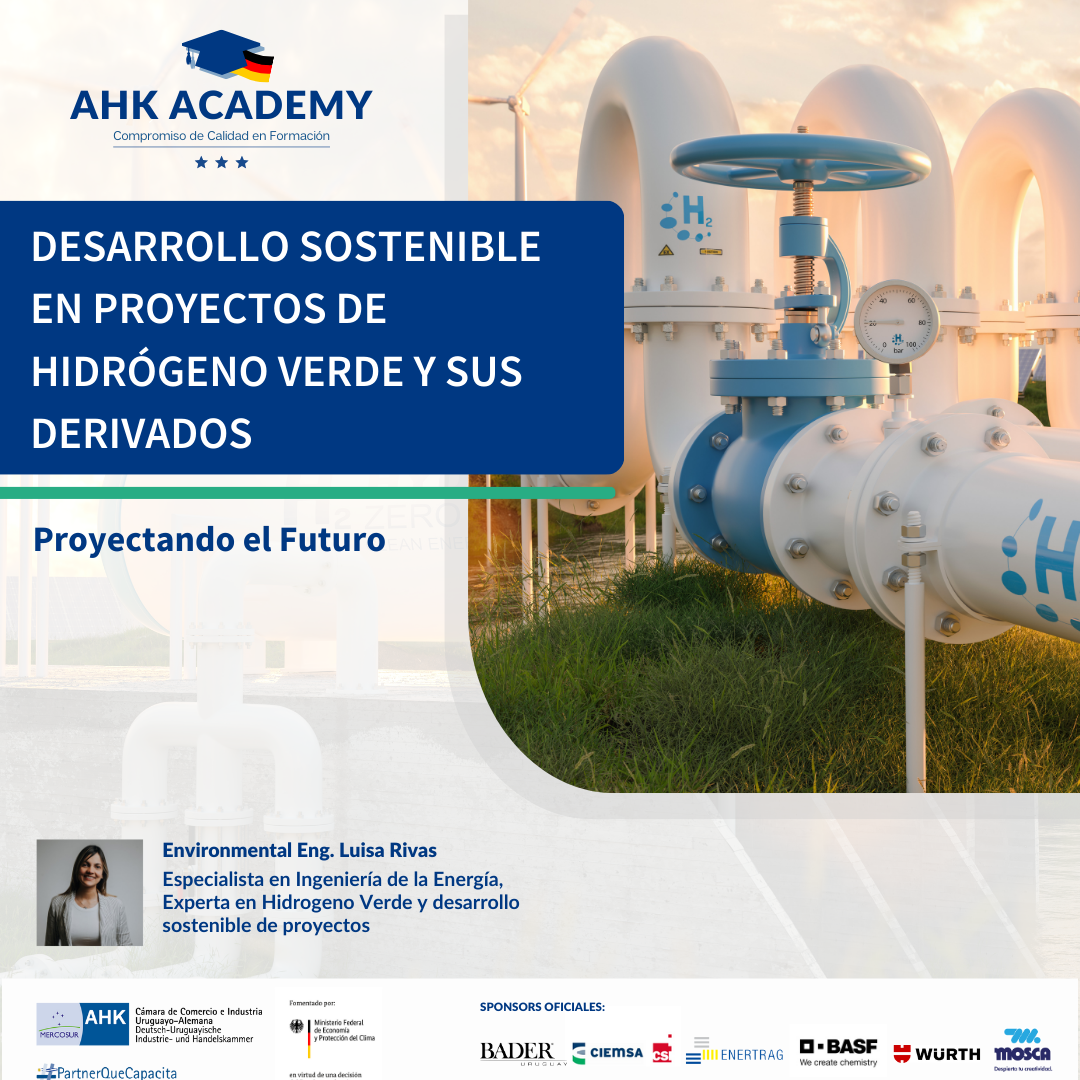 Desarrollo Sostenible en Proyectos de Hidrógeno y sus Derivados
